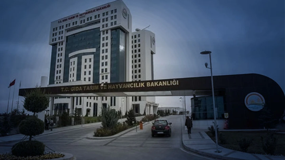 İstilacı yabancı türlerle mücadelede yeni dönem: Ulusal liste oluşturulacak İstilacı yabancı türlerle mücadelede yeni dönem: Ulusal liste oluşturulacak