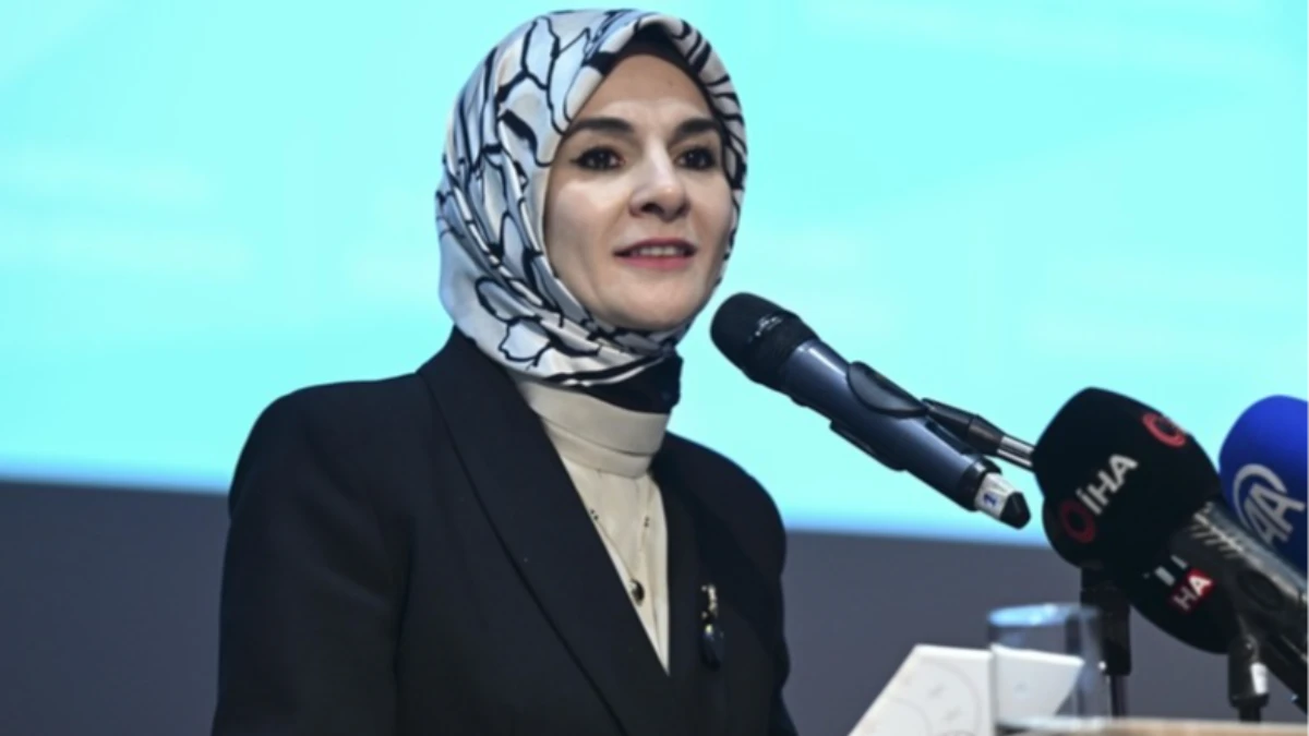 Kadına Yönelik Şiddetle Mücadele V. Ulusal Eylem Planı 25 Kasım'da açıklanacak Kadına Yönelik Şiddetle Mücadele V. Ulusal Eylem Planı 25 Kasım'da açıklanacak