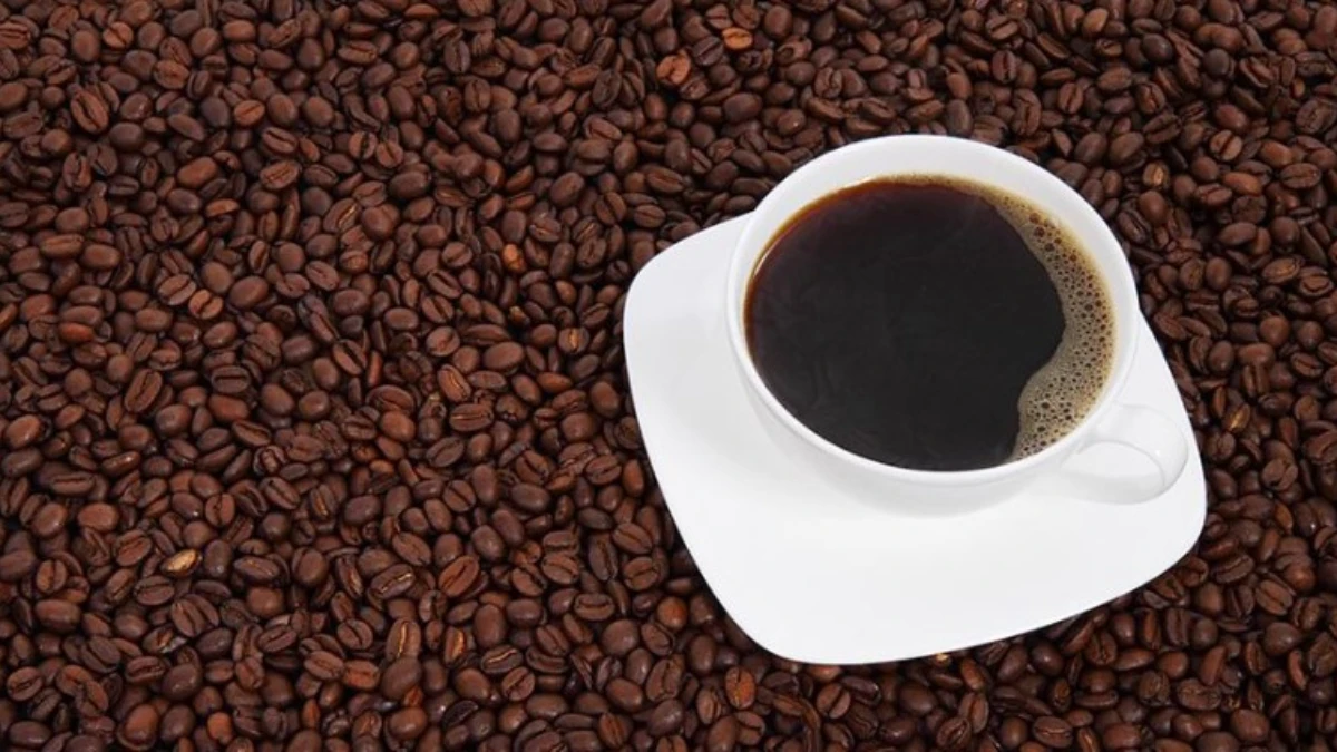 Kahve tutkunlarının buluşturan Coffex İstanbul fuarı başladı Kahve tutkunlarının buluşturan Coffex İstanbul fuarı başladı