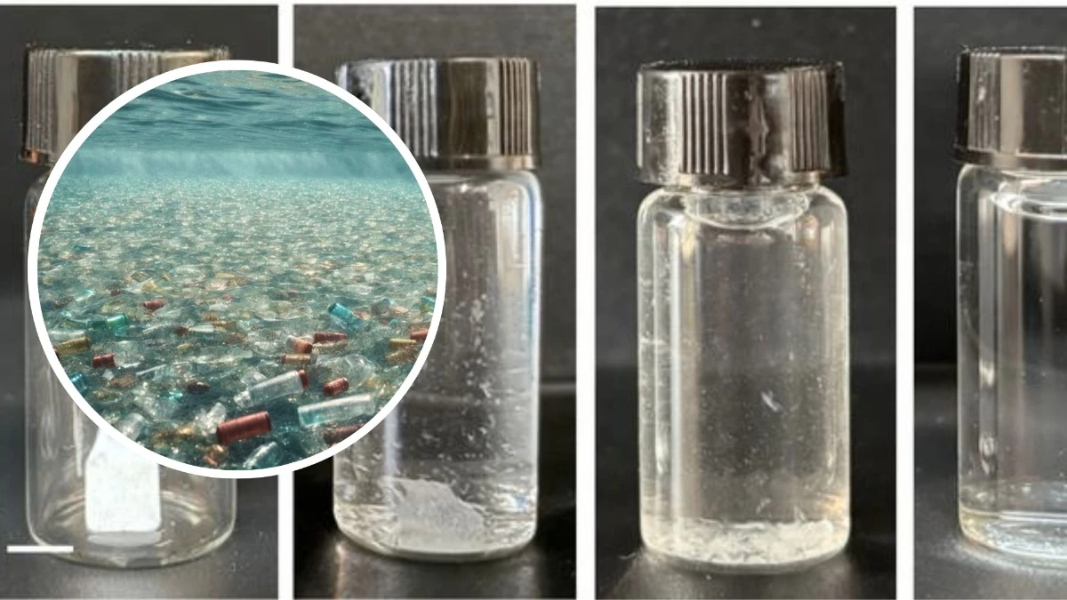 Kendi kendini imha eden canlı plastik geliştirildi Kendi kendini imha eden canlı plastik geliştirildi