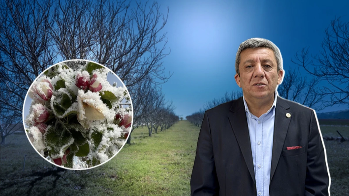 Kırşehir Ziraat Odası Başkanı Mevlüt Toprak: 'Bitkisel ürün sigortası yaptırın' Kırşehir Ziraat Odası Başkanı Mevlüt Toprak: 'Bitkisel ürün sigortası yaptırın'