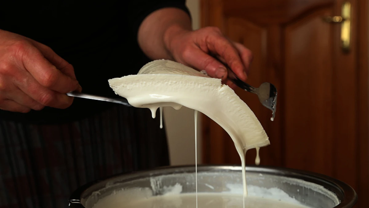 Krema ve kaymak üretimine yeni standartlar! Bakanlıktan düzenleme Krema ve kaymak üretimine yeni standartlar! Bakanlıktan düzenleme