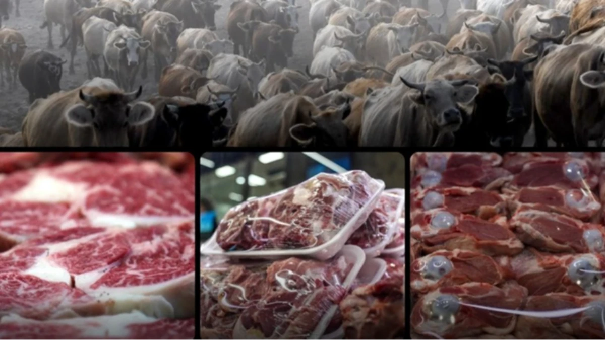 Küresel üretim baskısı ve iklim krizi et fiyatlarını yukarı taşıyor Küresel üretim baskısı ve iklim krizi et fiyatlarını yukarı taşıyor