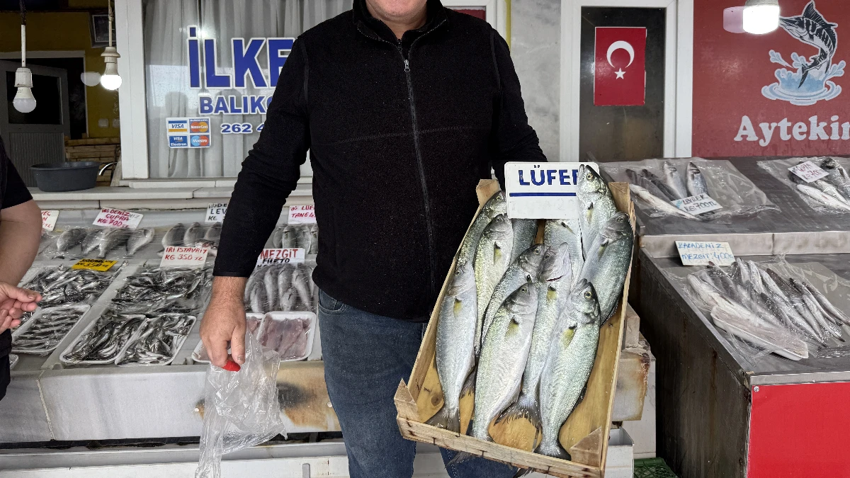 Lüfer mevsimi başladı! Tekirdağ'da ağlar atıldı Lüfer mevsimi başladı! Tekirdağ'da ağlar atıldı