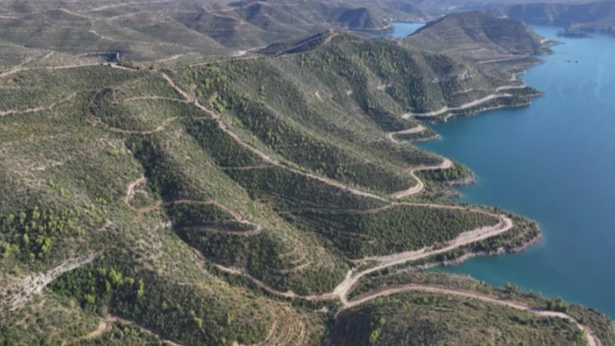 Manavgat’ta yangınla yok olan ormanlar yeniden yeşeriyor Manavgat’ta yangınla yok olan ormanlar yeniden yeşeriyor