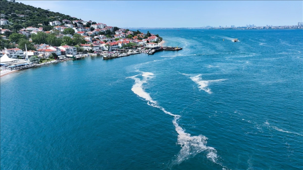 Marmara’da müsilaj incelemelerinin sonuçları açıklandı Marmara’da müsilaj incelemelerinin sonuçları açıklandı