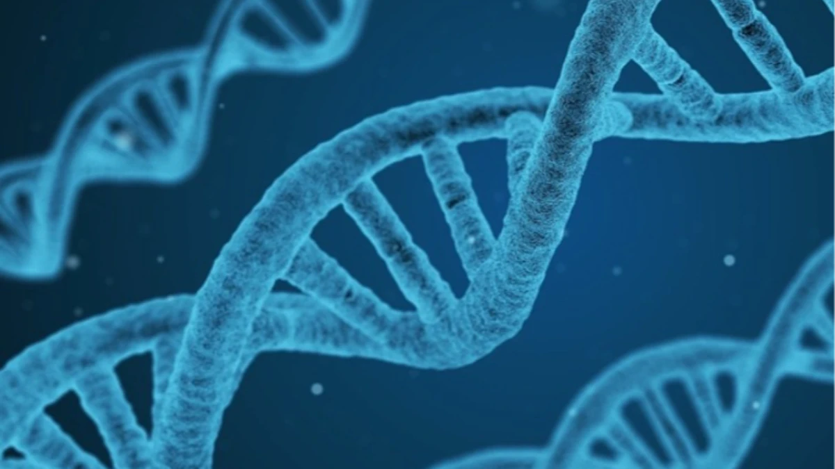 Milyonlarca kişinin DNA'sı satışa çıkarıldı! ABD'de mahkeme kararını verdi Milyonlarca kişinin DNA'sı satışa çıkarıldı! ABD'de mahkeme kararını verdi