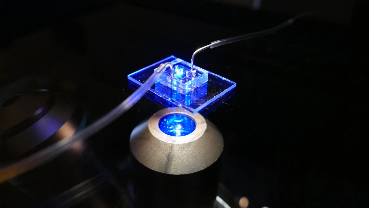 mRNA aşı teknolojisi ile kalp yetmezliği tedavisi: ‘Lipit nanopartiküller’ mRNA aşı teknolojisi ile kalp yetmezliği tedavisi: ‘Lipit nanopartiküller’