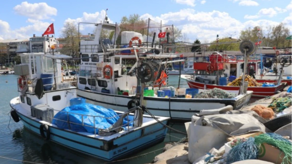 Müsilaj sezonu böldü! Güney Marmara'nın balıkçılar umduğunu bulamadı Müsilaj sezonu böldü! Güney Marmara'nın balıkçılar umduğunu bulamadı