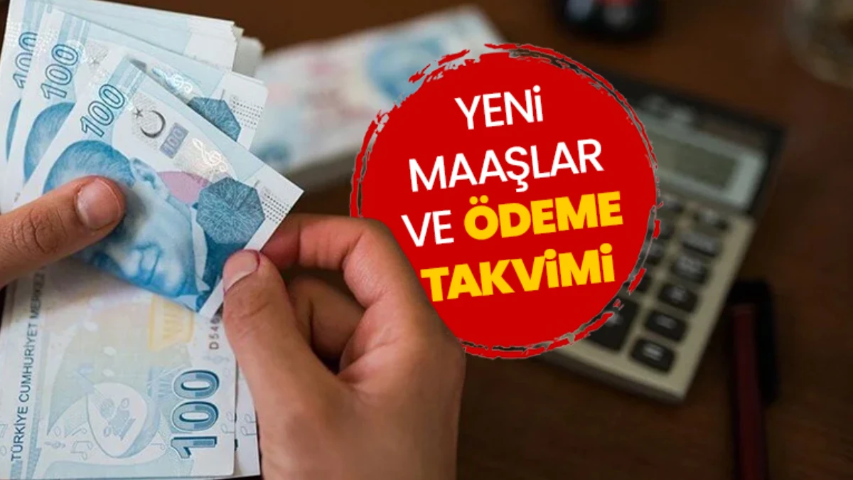 Ne kadar emekli maaşı alırım? sorusu yanıt buldu! SSK, BAĞ-KUR Temmuz 2025 zamlı ödeme takvimi netleşti Ne kadar emekli maaşı alırım? sorusu yanıt buldu! SSK, BAĞ-KUR Temmuz 2025 zamlı ödeme takvimi netleşti