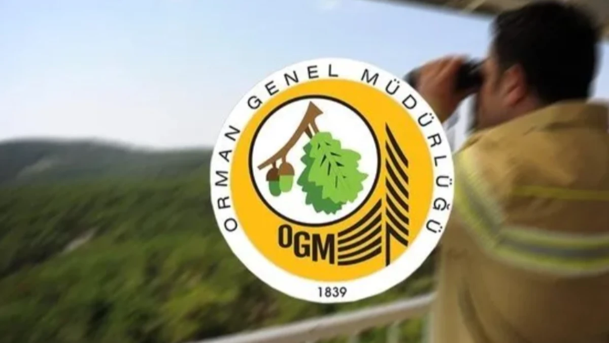 OGM 3477 PERSONEL ALIMI SONUÇLARI| Açıklandı mı? Ne zaman belli olur? OGM 3477 PERSONEL ALIMI SONUÇLARI| Açıklandı mı? Ne zaman belli olur?