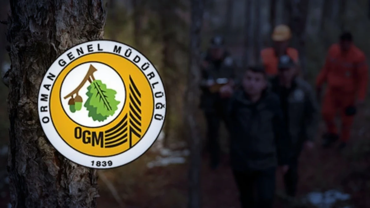 OGM işçi alımı sonuçları 2025| Açıklandı mı, ne zaman belli olur? OGM işçi alımı sonuçları 2025| Açıklandı mı, ne zaman belli olur?