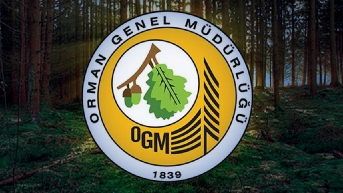 OGM PERSONEL ALIMI ŞARTLARI| Orman Genel Müdürlüğü 496 sözleşmeli personel alımı ne zaman? OGM PERSONEL ALIMI ŞARTLARI| Orman Genel Müdürlüğü 496 sözleşmeli personel alımı ne zaman?