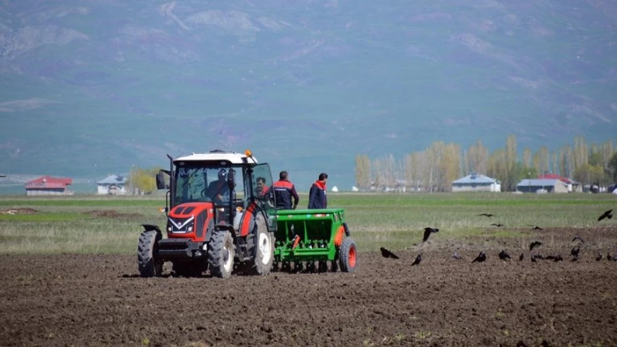 Ovalara ekilmek üzere 29 bine yakın fidan ve tohum verildi Ovalara ekilmek üzere 29 bine yakın fidan ve tohum verildi