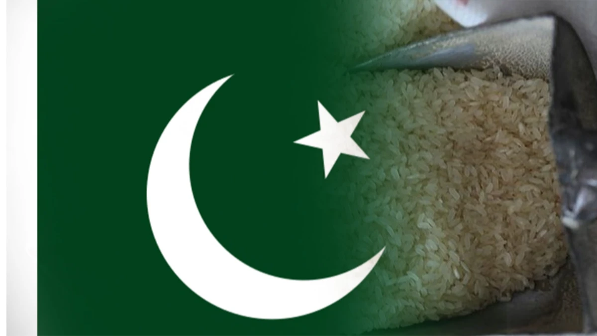 Pakistan pirincine yeni ithalat düzenlemesi Pakistan pirincine yeni ithalat düzenlemesi
