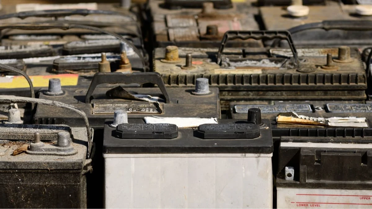 Pil ve toksik atıkları yiyen bakteri keşfedildi: Geri dönüşümde yeni dönem Pil ve toksik atıkları yiyen bakteri keşfedildi: Geri dönüşümde yeni dönem