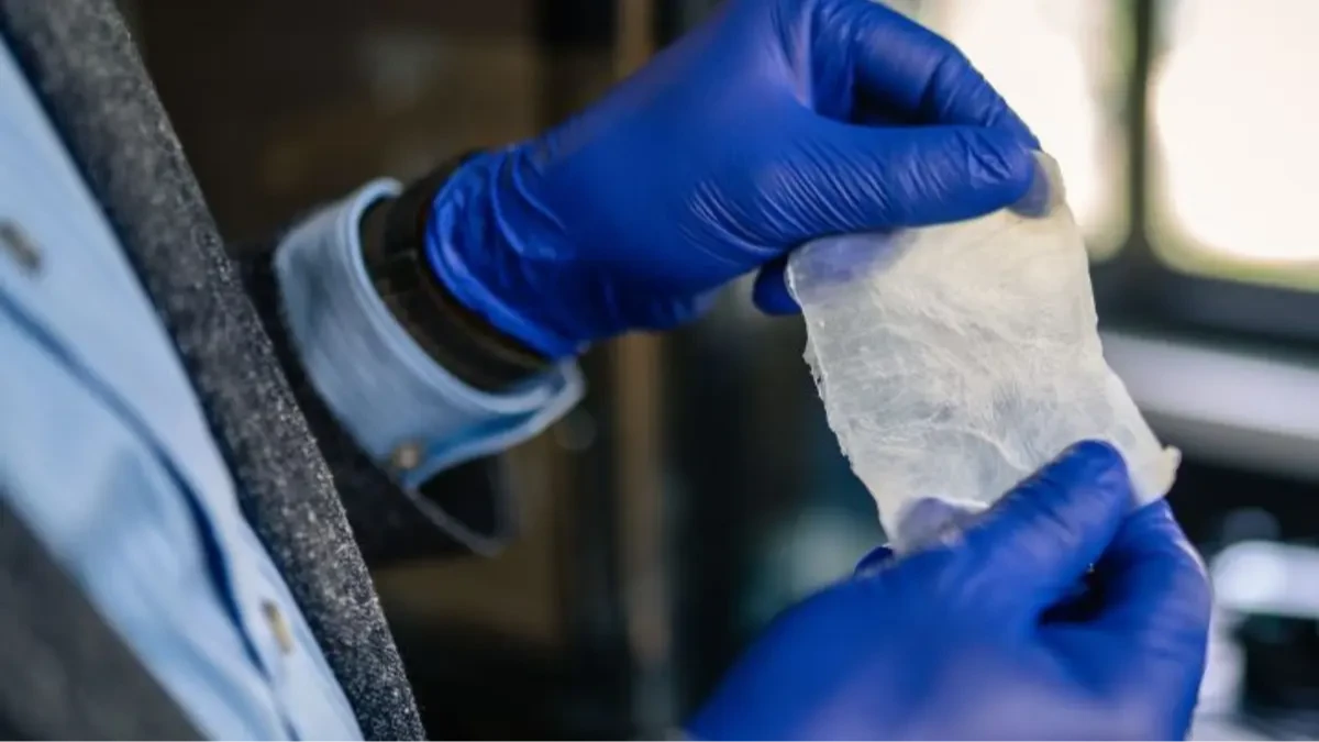 Plastiğe bakteri alternatifi: Tek adımda güçlü ve doğa dostu alternatif Plastiğe bakteri alternatifi: Tek adımda güçlü ve doğa dostu alternatif