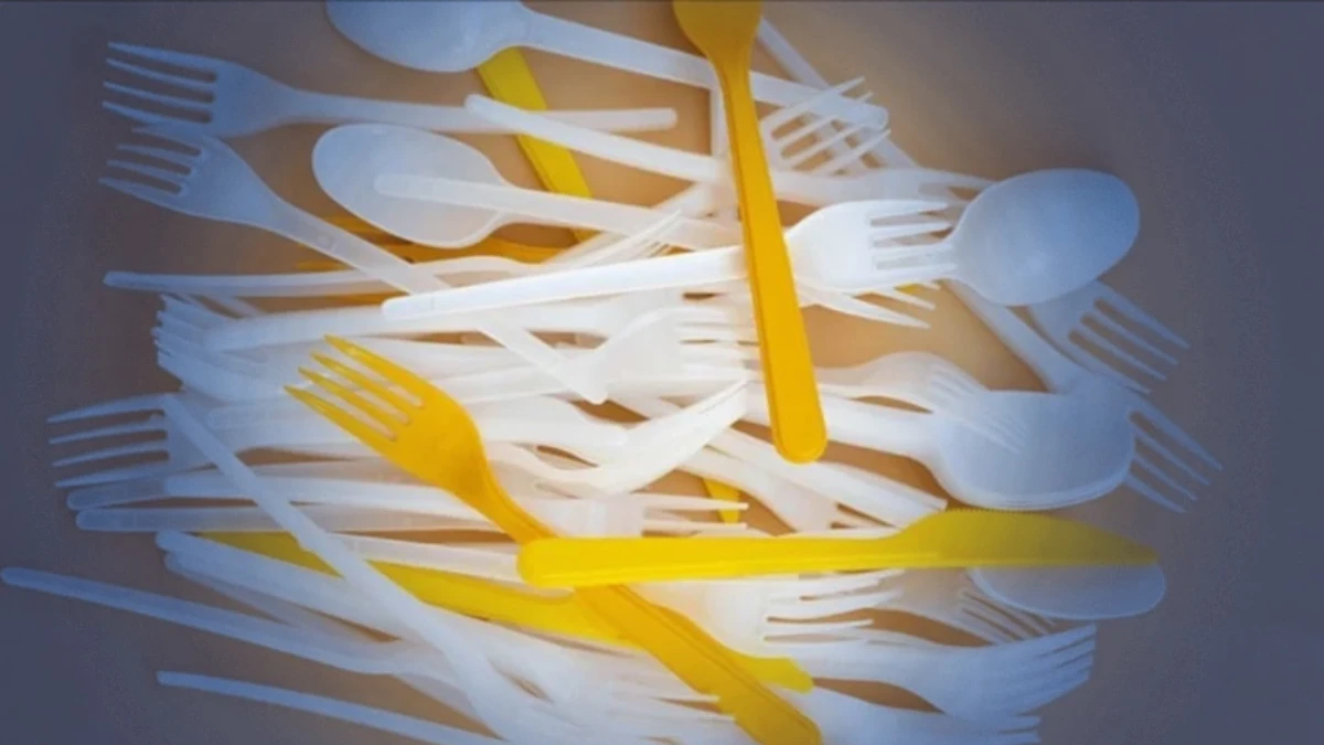 Plastik çatal, tabak ve pipetler yasaklanacak: Bakanlık yönetmelik hazırlıyor
