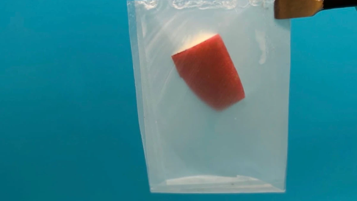 Plastik kadar dayanıklı doğada çözünen yeni nesil biyoplastik Plastik kadar dayanıklı doğada çözünen yeni nesil biyoplastik