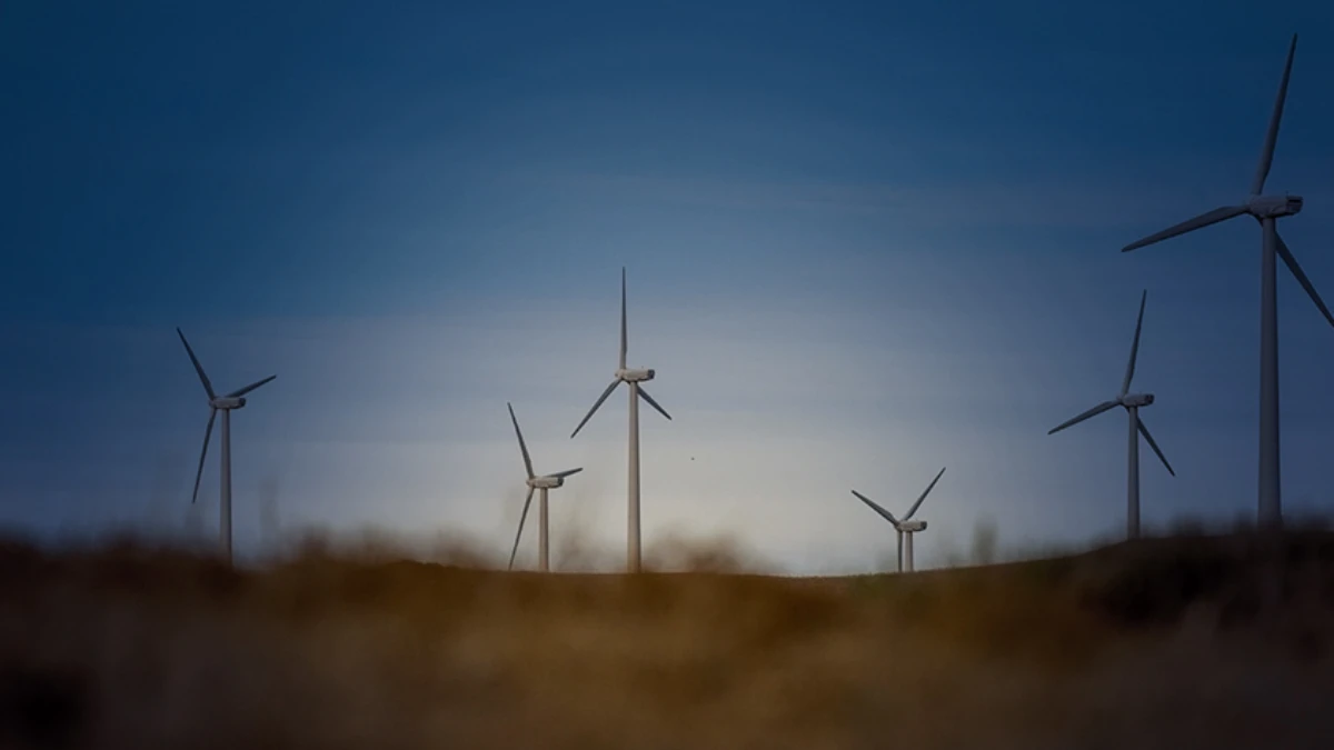 Rekor kapasite artışı: Türkiye'nin rüzgar enerjisi gücü 16 bin megavata yaklaştı Rekor kapasite artışı: Türkiye'nin rüzgar enerjisi gücü 16 bin megavata yaklaştı
