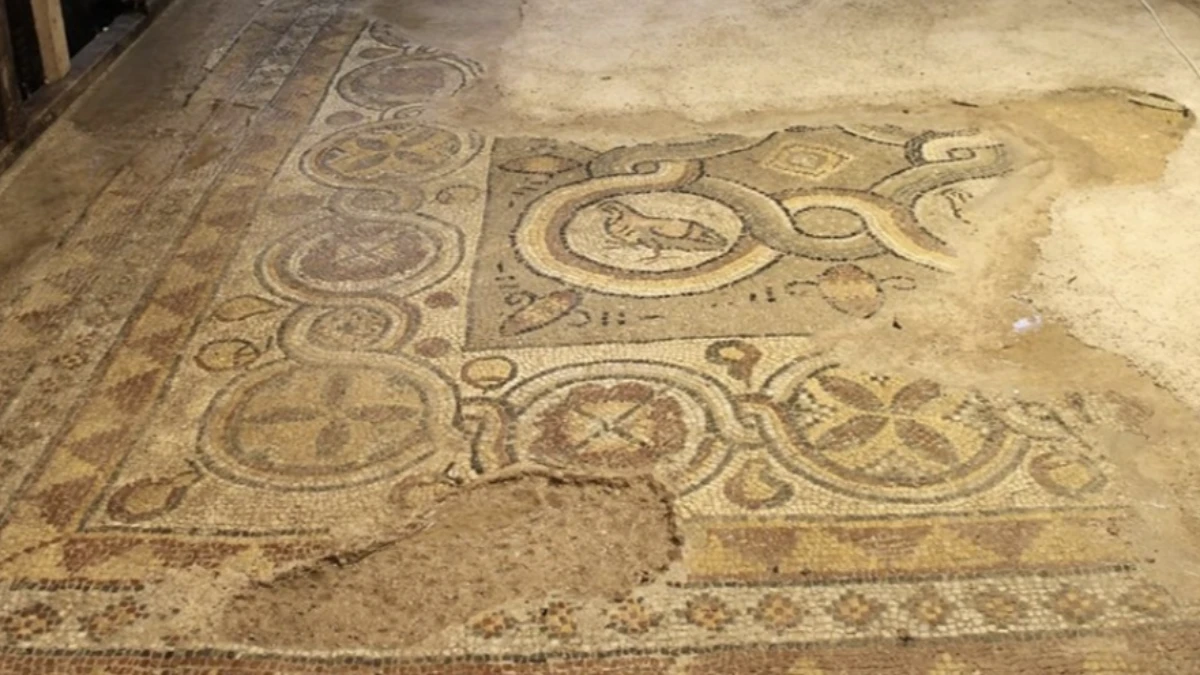 Sinop'ta 1600 yıllık mozaikler oluşturulacak ziyaretçi merkezinde sergilenecek Sinop'ta 1600 yıllık mozaikler oluşturulacak ziyaretçi merkezinde sergilenecek