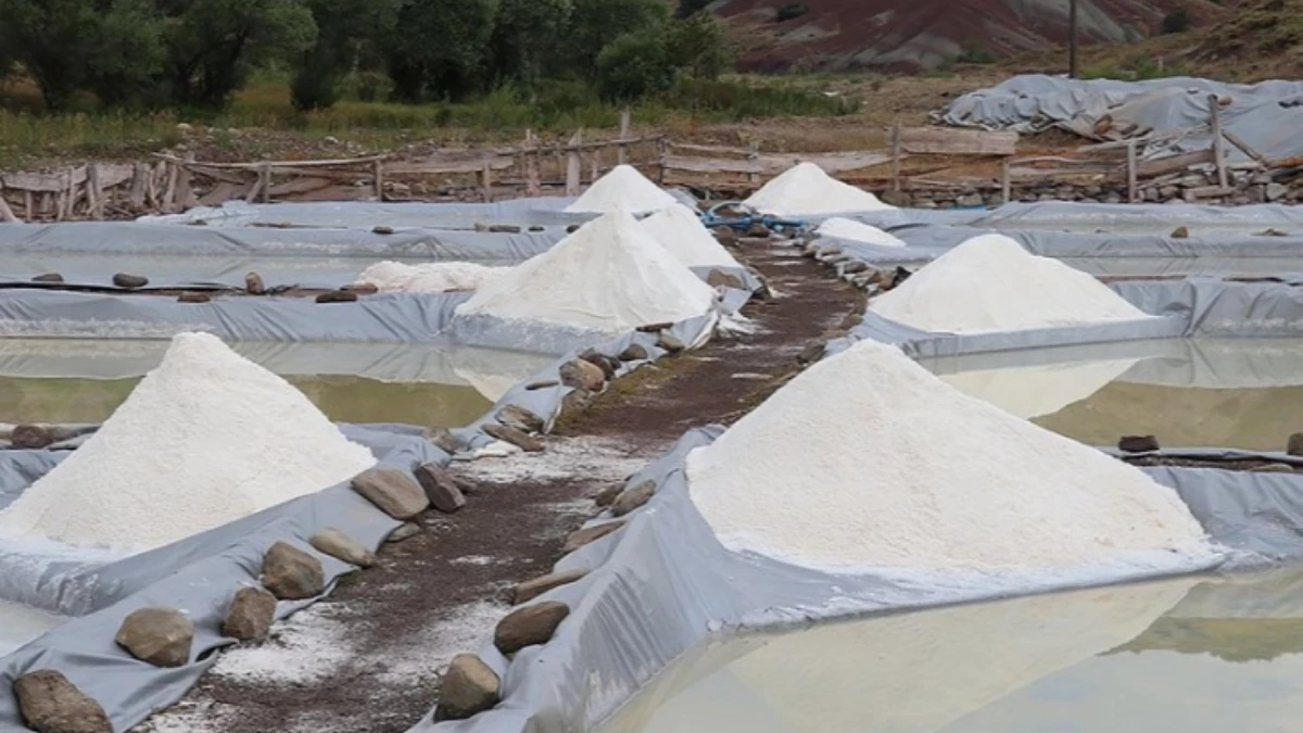 Sivas’ın mineral zengini ‘esmer tuzu’ Japon mutfaklarına ulaşıyor Sivas’ın mineral zengini ‘esmer tuzu’ Japon mutfaklarına ulaşıyor