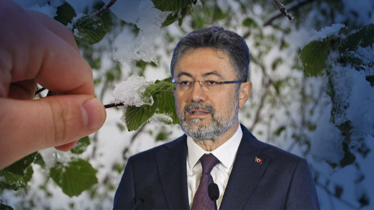 SON DAKİKA: Bakan Yumaklı'dan zirai don açıklaması: 16 ürüne destek verilecek! SON DAKİKA: Bakan Yumaklı'dan zirai don açıklaması: 16 ürüne destek verilecek!