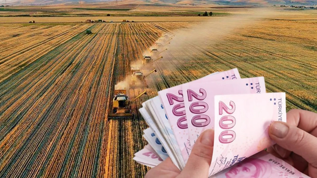SON DAKİKA: Çiftçilere sevindiren haber! 331 milyon 664 bin lira ödeme yapıldı SON DAKİKA: Çiftçilere sevindiren haber! 331 milyon 664 bin lira ödeme yapıldı