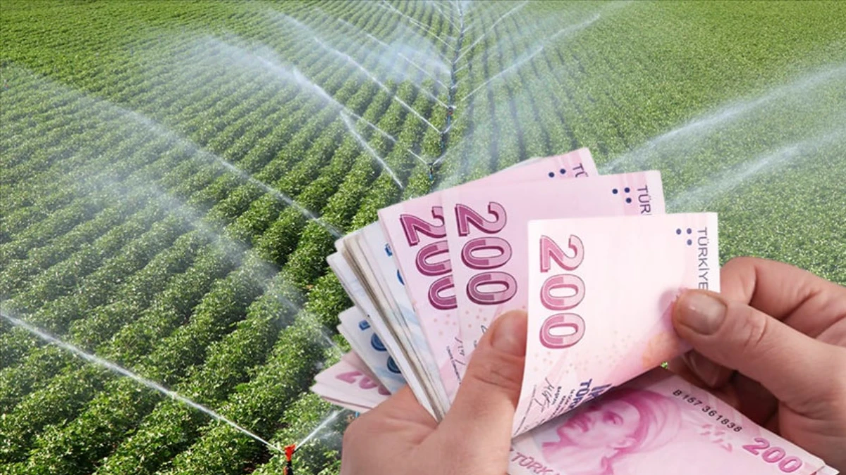 SON DAKİKA: Çiftçileri sevindiren haber! Bugün 306 milyon liralık destek ödemesi yapılıyor SON DAKİKA: Çiftçileri sevindiren haber! Bugün 306 milyon liralık destek ödemesi yapılıyor