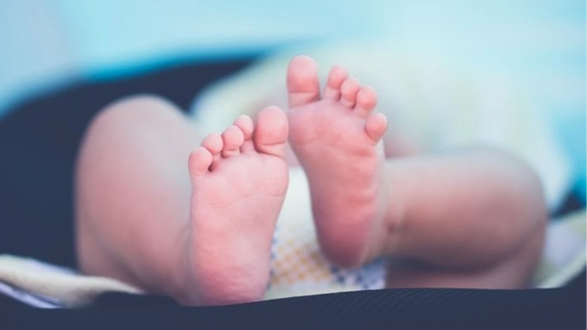 SON DAKİKA: Doğum izni 24 haftaya çıkıyor: Tüm çalışan kadınlar için yeni dönem! SON DAKİKA: Doğum izni 24 haftaya çıkıyor: Tüm çalışan kadınlar için yeni dönem!