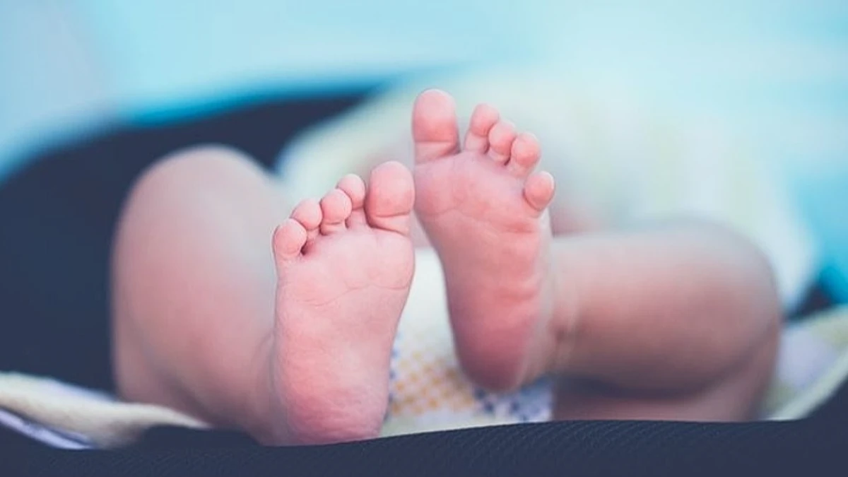 SON DAKİKA: Doğum izni uzuyor: Meclis'e gelecek! Süre 24 haftaya çıkarılıyor SON DAKİKA: Doğum izni uzuyor: Meclis'e gelecek! Süre 24 haftaya çıkarılıyor