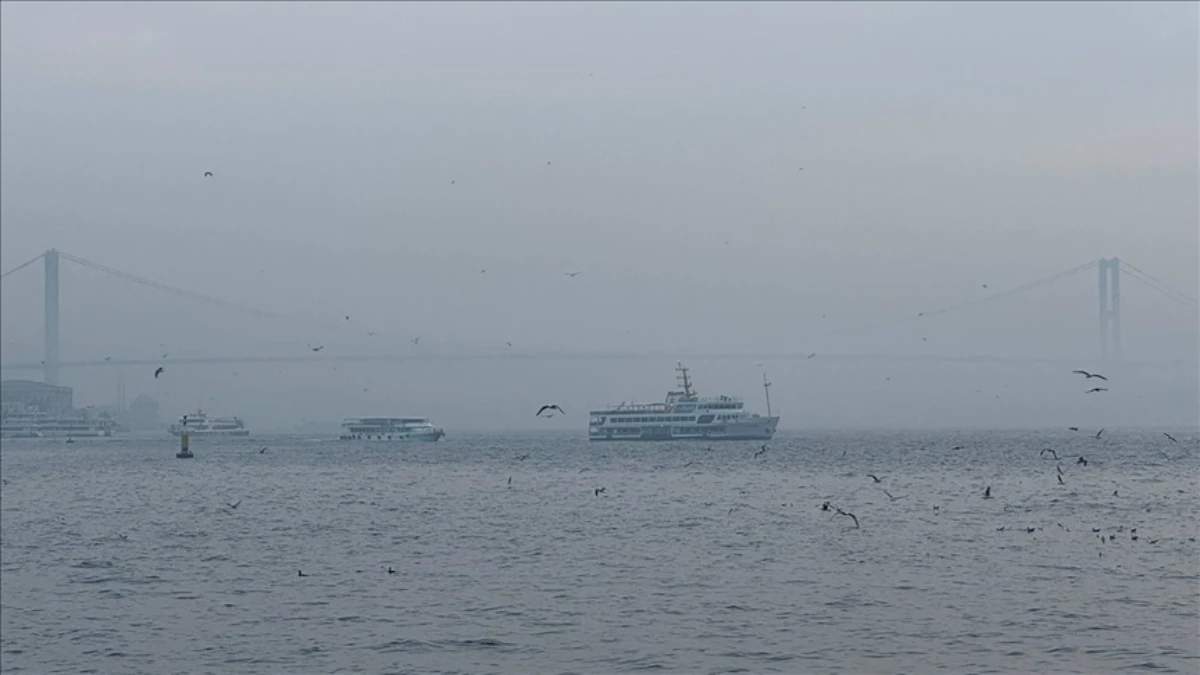 SON DAKİKA: İstanbul'da bazı vapur seferlerine fırtına molası SON DAKİKA: İstanbul'da bazı vapur seferlerine fırtına molası