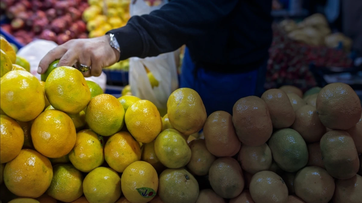 Tarım ve gıda ihracatı artışta: Ocak ayında 2,4 milyar dolara ulaştı Tarım ve gıda ihracatı artışta: Ocak ayında 2,4 milyar dolara ulaştı