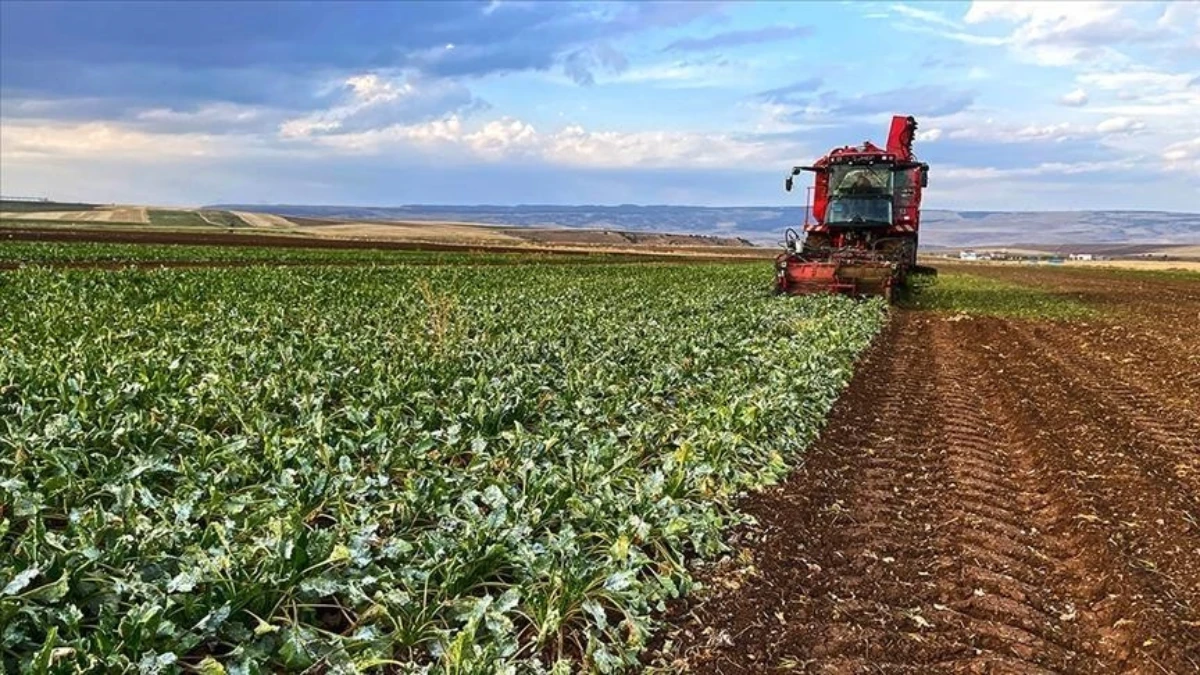 Tarım ve Orman Bakanlığı duyurdu: Çiftçilere bugün 116,3 milyon lira tarımsal destekleme ödemesi yapılacak Tarım ve Orman Bakanlığı duyurdu: Çiftçilere bugün 116,3 milyon lira tarımsal destekleme ödemesi yapılacak