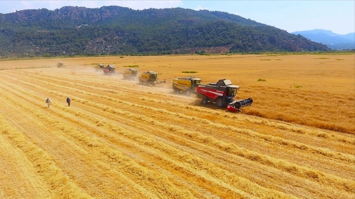 Tarımsal girdi fiyat endeksi 20 ayın en düşüğünde