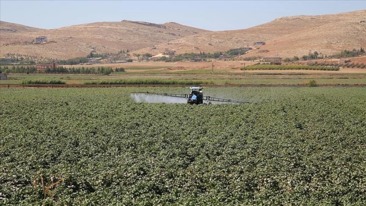 Tarımsal girdide fiyat endeksi açıklandı: Yıllık yüzde 33.6 arttı Tarımsal girdide fiyat endeksi açıklandı: Yıllık yüzde 33.6 arttı