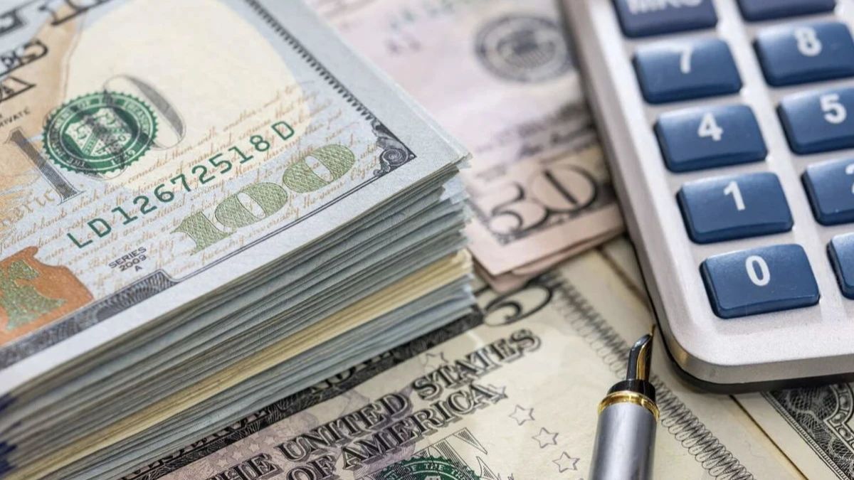 TCMB döviz rezervlerinde yeni rekor: Brüt rezervler 218,2 milyar dolara çıktı TCMB döviz rezervlerinde yeni rekor: Brüt rezervler 218,2 milyar dolara çıktı