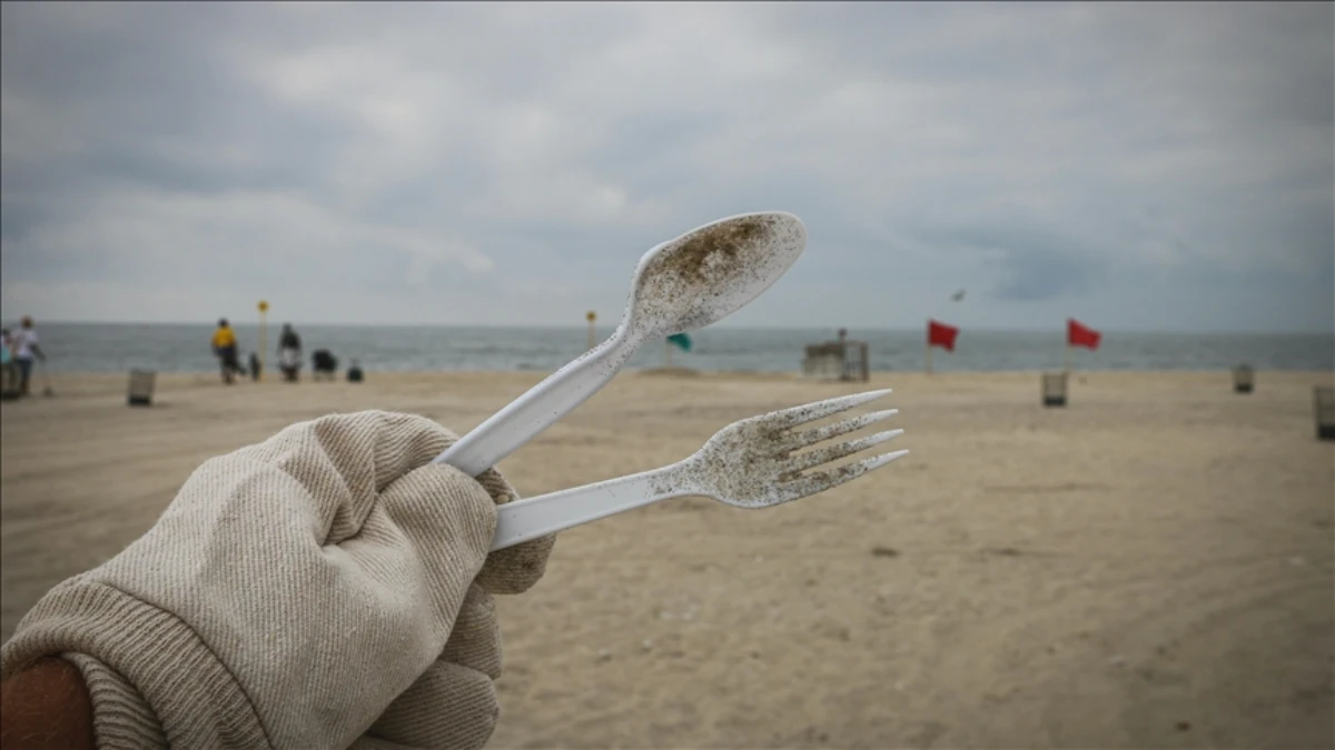 Tek kullanımlık plastiklere karşı 3 aşamalı plan Tek kullanımlık plastiklere karşı 3 aşamalı plan
