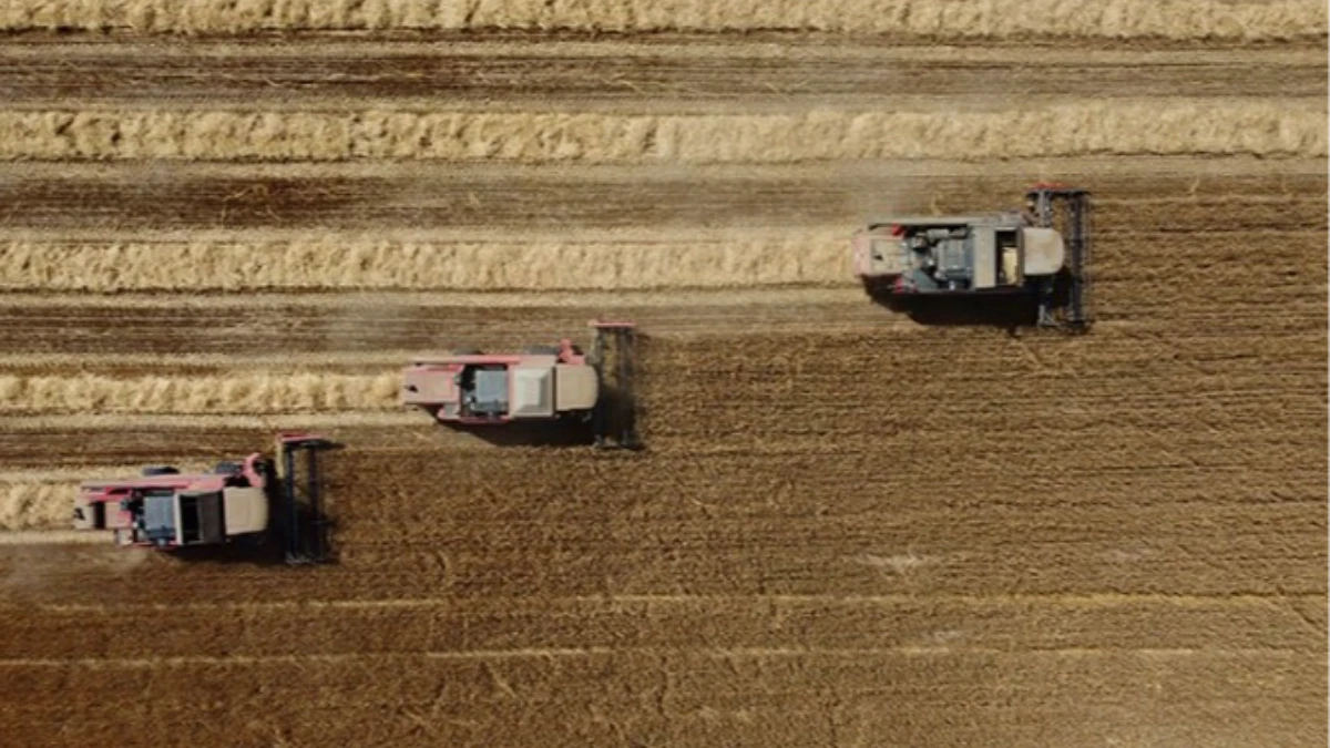 TİGEM 732 ton yem alımı için ihaleye çıkıyor! Tarihi belli oldu TİGEM 732 ton yem alımı için ihaleye çıkıyor! Tarihi belli oldu