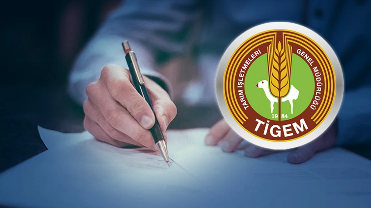 TİGEM yeni ihale açtı! 17 Kasım'da yapılacak TİGEM yeni ihale açtı! 17 Kasım'da yapılacak