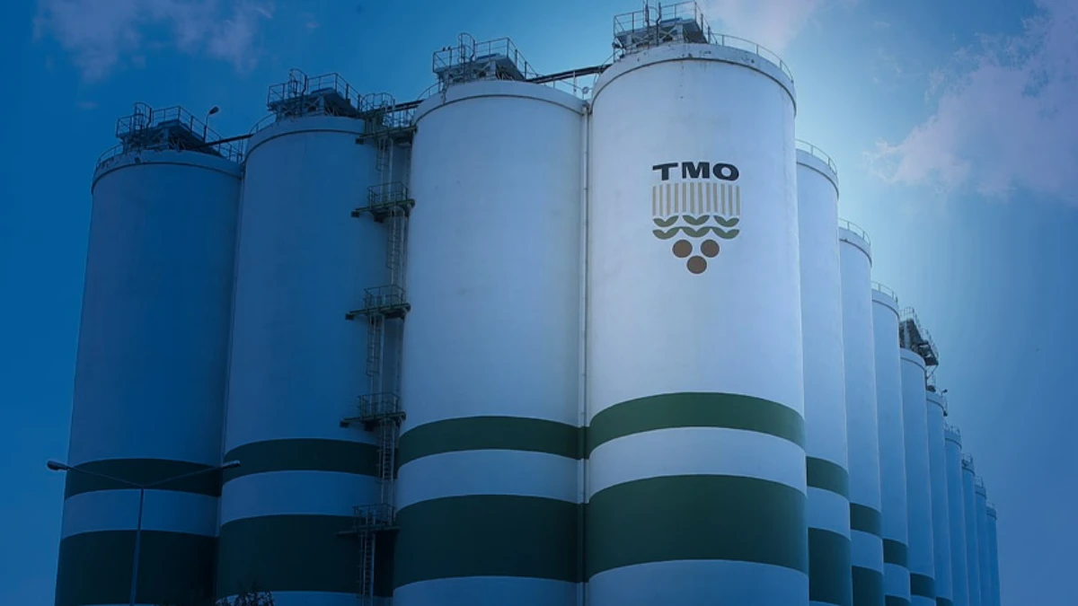 TMO'nun stokları gelecek hasat dönemine kadar yeterli TMO'nun stokları gelecek hasat dönemine kadar yeterli