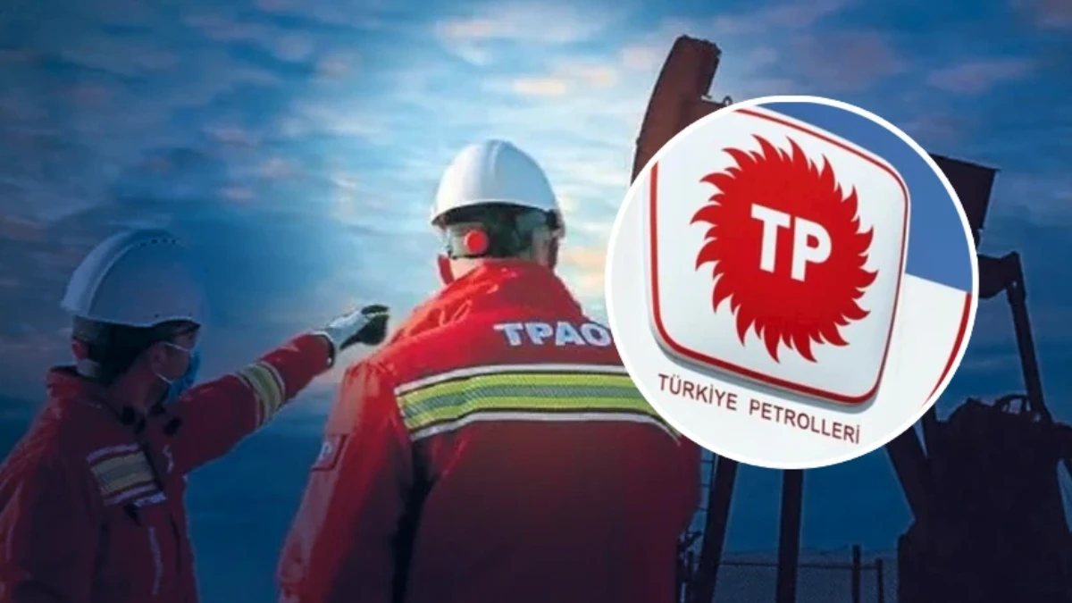TPAO'dan özel sektöre çağrı: Yerlileştirme AR-GE projesi TPAO'dan özel sektöre çağrı: Yerlileştirme AR-GE projesi