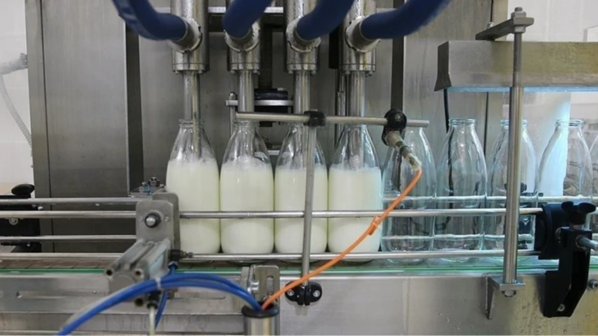 TÜİK açıkladı! Toplanan inek sütü miktarı şubatta 857 bin 821 ton oldu