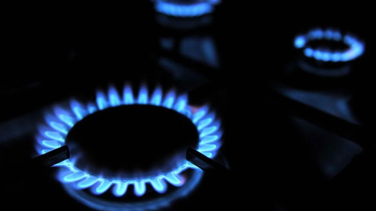 Türkiye’nin doğal gaz ihracat potansiyeli özel sektörle artabilir: BOTAŞ öncülüğünde yeni dönem Türkiye’nin doğal gaz ihracat potansiyeli özel sektörle artabilir: BOTAŞ öncülüğünde yeni dönem