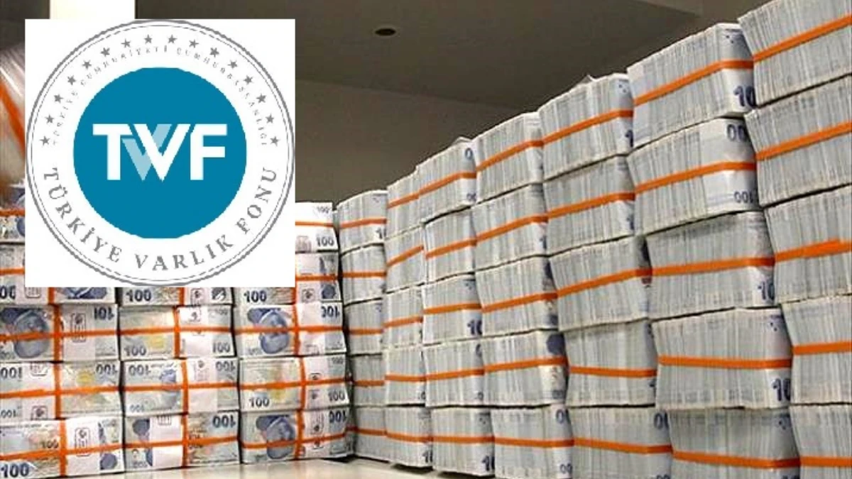 TVF, dünyanın en büyük 10 varlık fonu arasında TVF, dünyanın en büyük 10 varlık fonu arasında