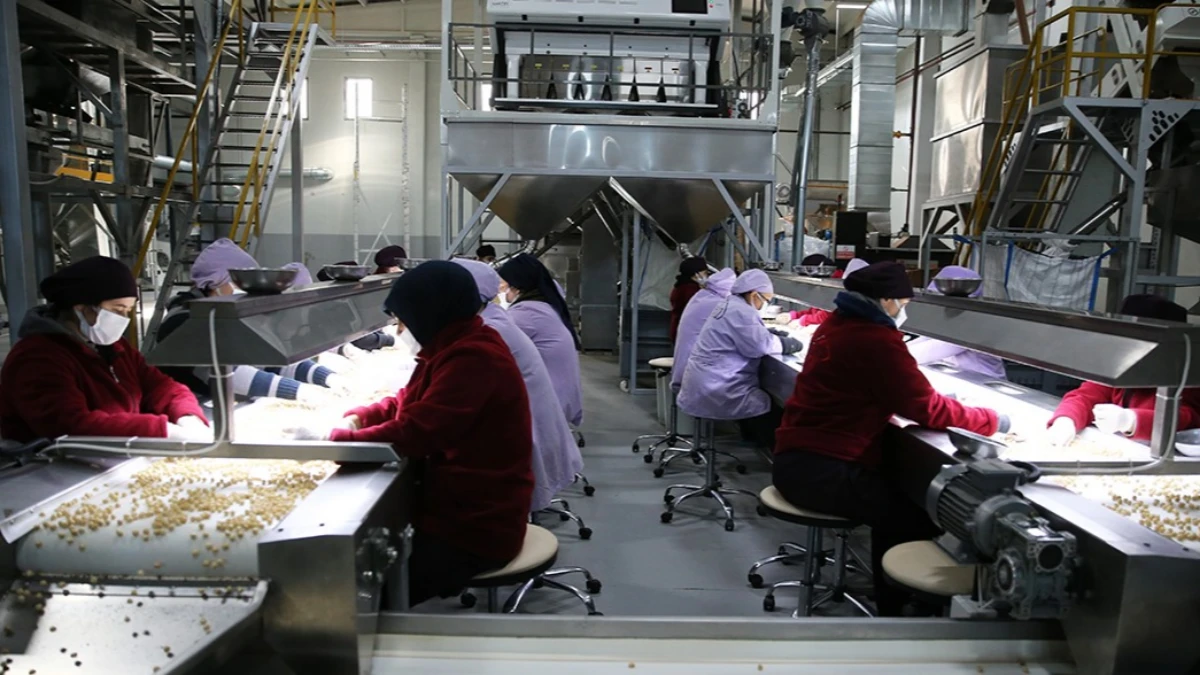 Üretimde yavaşlama sürüyor: İSO Türkiye İmalat PMI ekimde 46,5 oldu Üretimde yavaşlama sürüyor: İSO Türkiye İmalat PMI ekimde 46,5 oldu