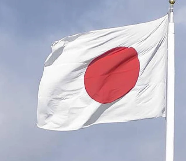 Japonya'dan Güney Sudan kararı: BM görev süresi uzatıldı