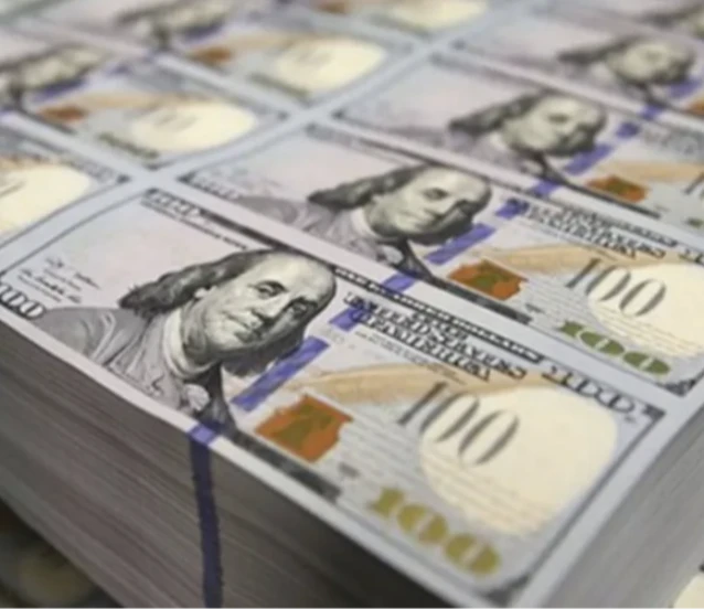 Merkez Bankası rezervleri geriledi: Toplam rezerv 165,5 milyar dolar oldu