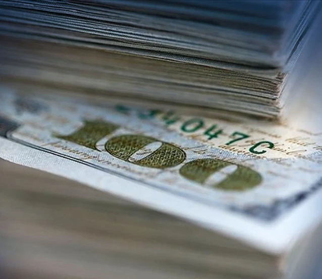 Merkez Bankası döviz rezervleri 8 haftanın zirvesine yükseldi