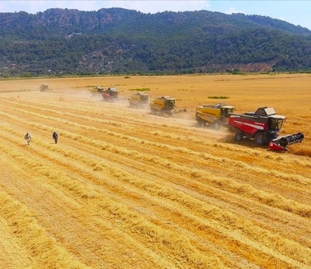 Tarımsal girdi fiyat endeksi 20 ayın en düşüğünde Tarımsal girdi fiyat endeksi 20 ayın en düşüğünde